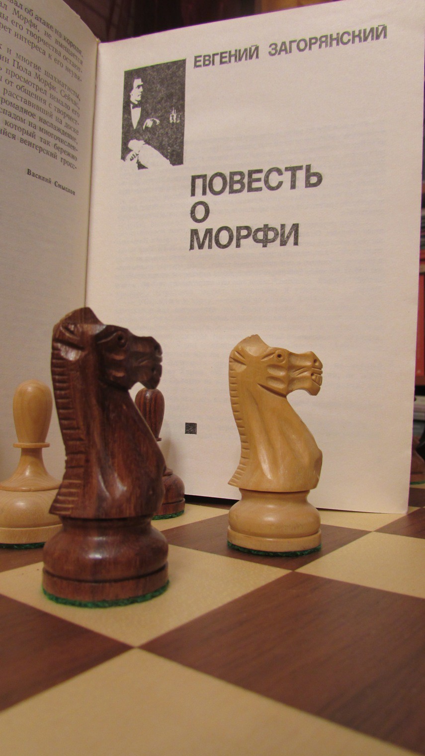 Paul Morphy: The Pride and Sorrow of Chess (English Edition) - eBooks em  Inglês na