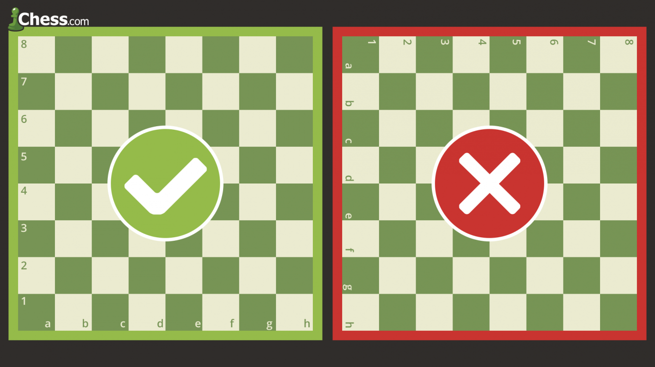 Cómo colocar tablero de ajedrez - Chess.com