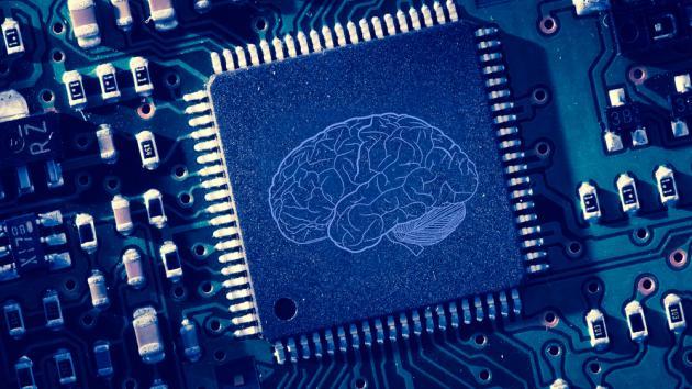 O Que Está no Interior do Cérebro do AlphaZero?