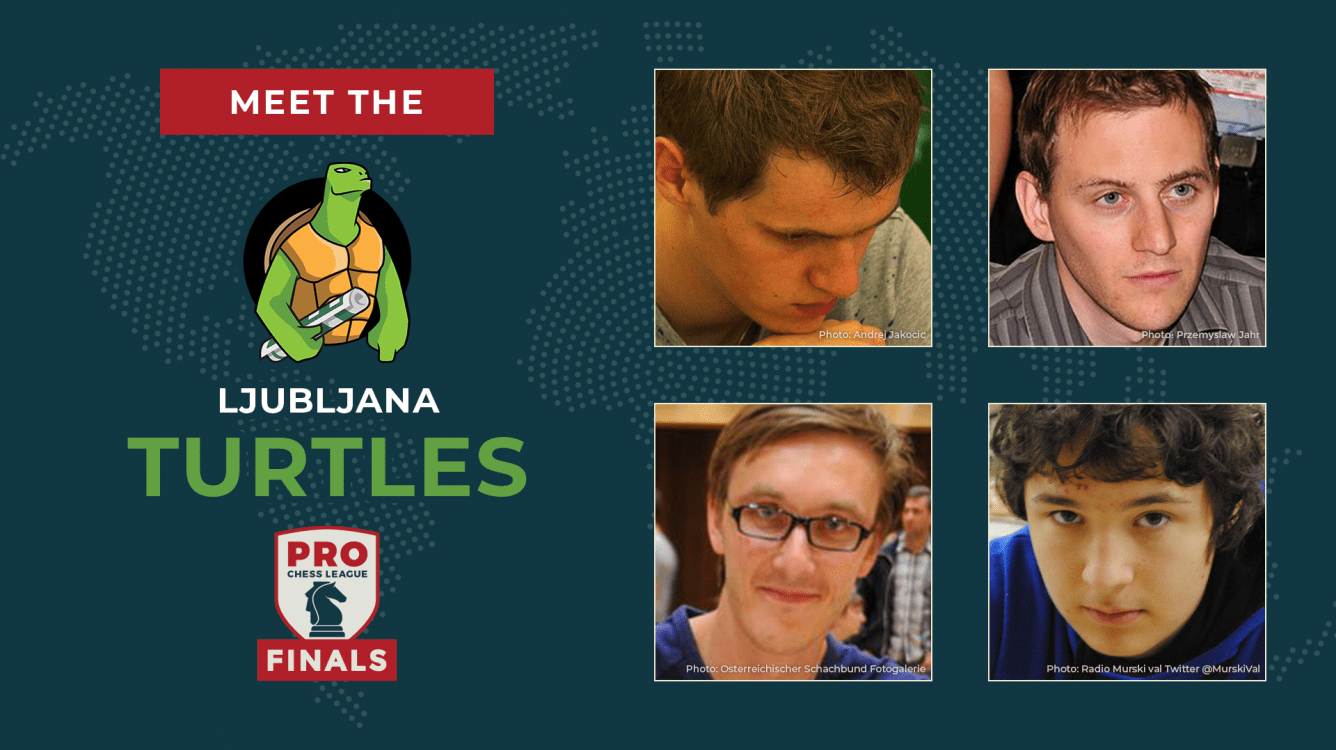 PRO Chess League Semifinals: Meet The Turtles!