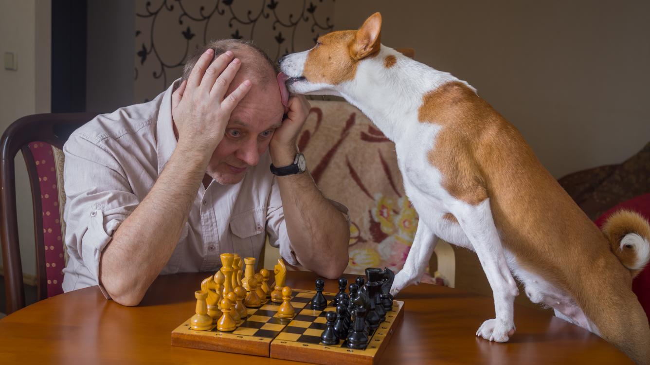 Are You A Good Chess Player?