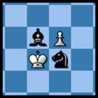 McChess: Shredder Chess 