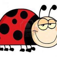 Cheesy the Bug’s Love Letter to Number One