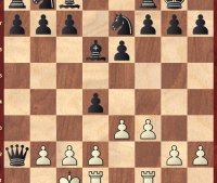Solving: Proof Game (fantastic!) after 12 moves