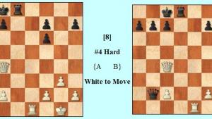 ICD #5 - A Mate or An Illusion? It depends on your pick!