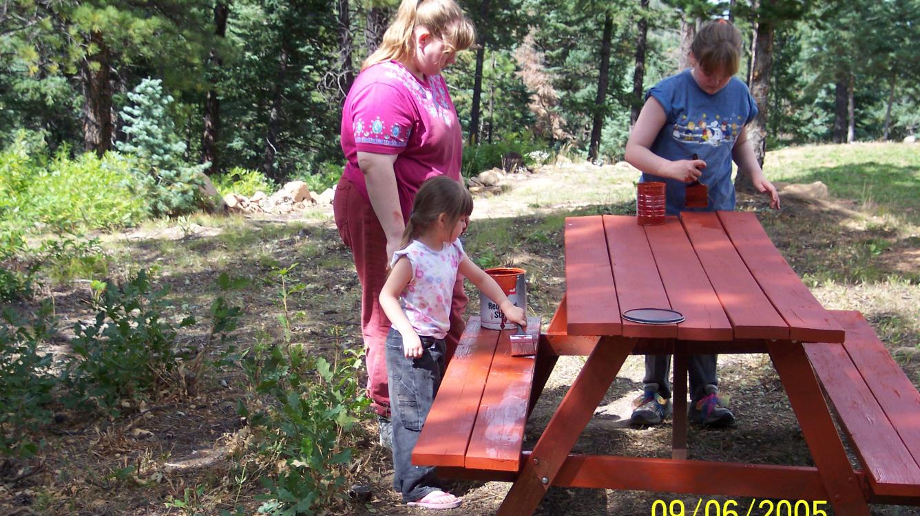 Repainting The Picnic Table