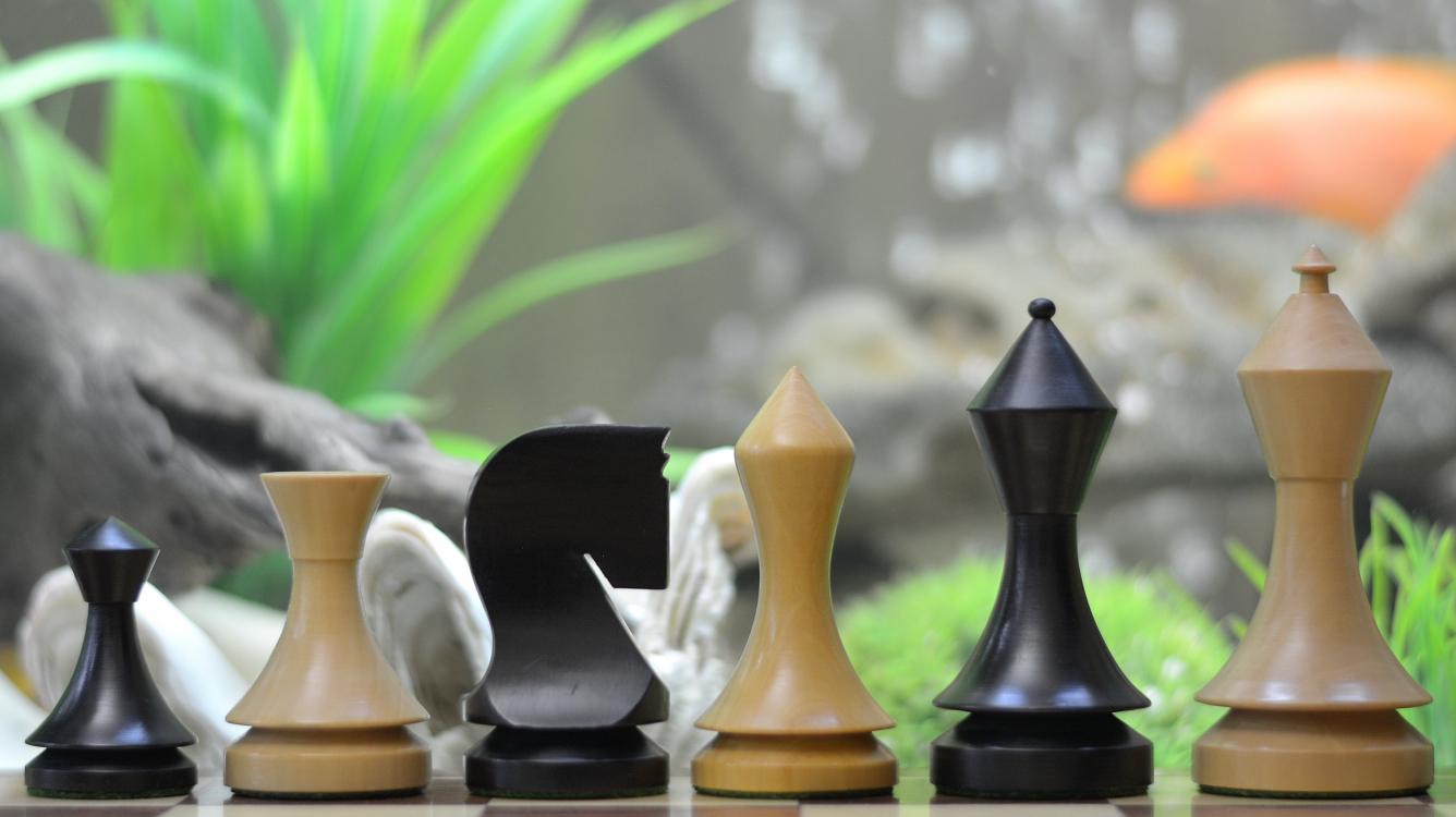 Unbelievable Prices on Chess Boards, Pieces, Sets, Books! (50% off for Halloween)