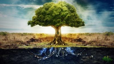 The Biblical Roots of Modern Science Part 2