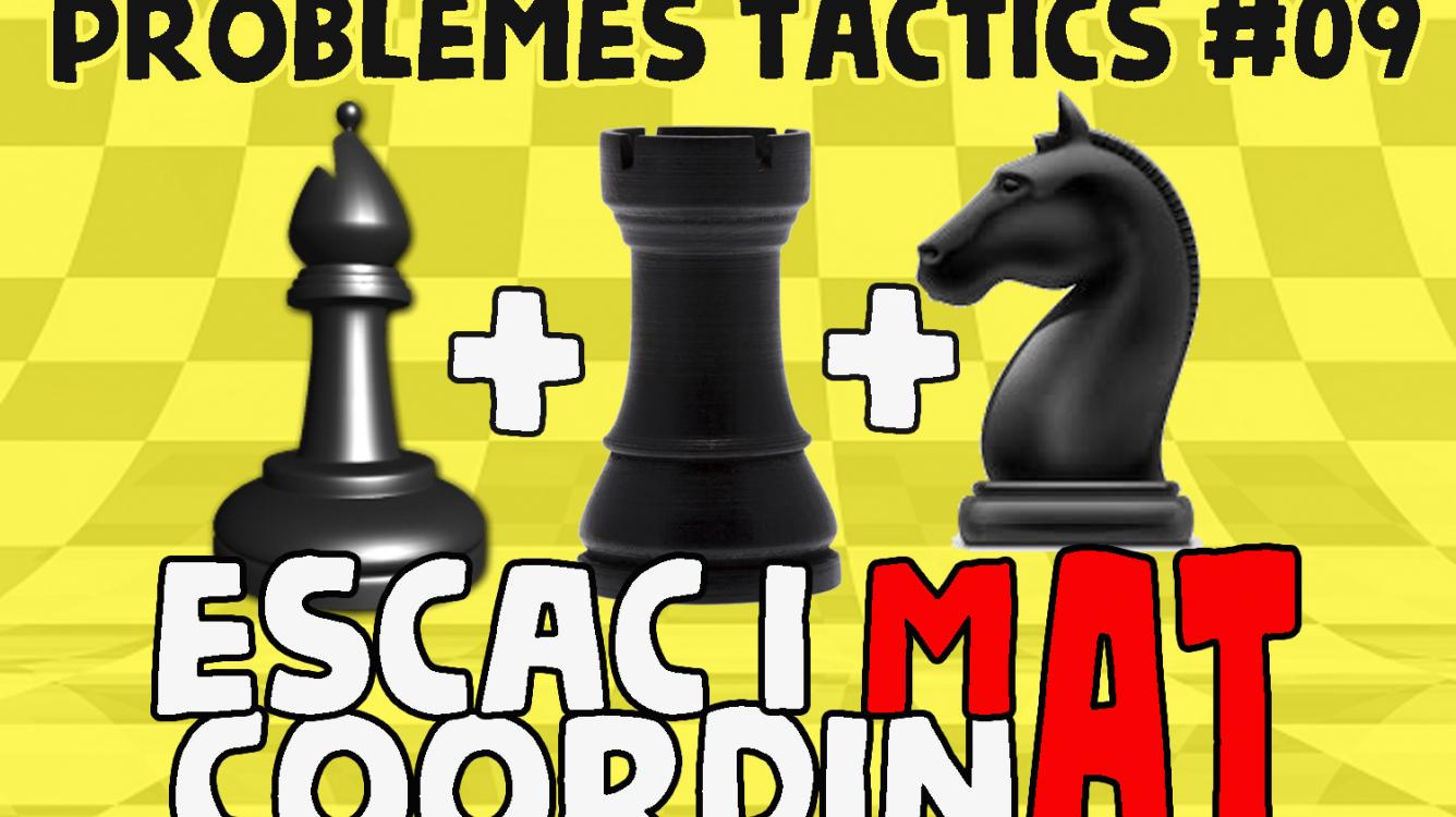 Escacs Problemes Tàctics #09 Escac i mat coordinat