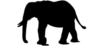 What Shape is the Elephant? (Part I)