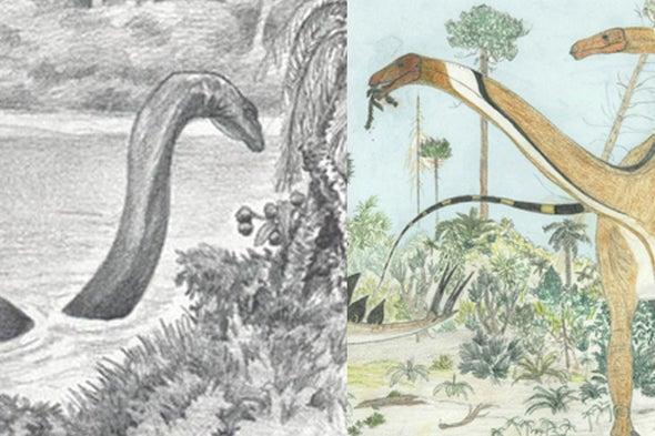 A collection of different theories about what the Mokele-Mbembe is