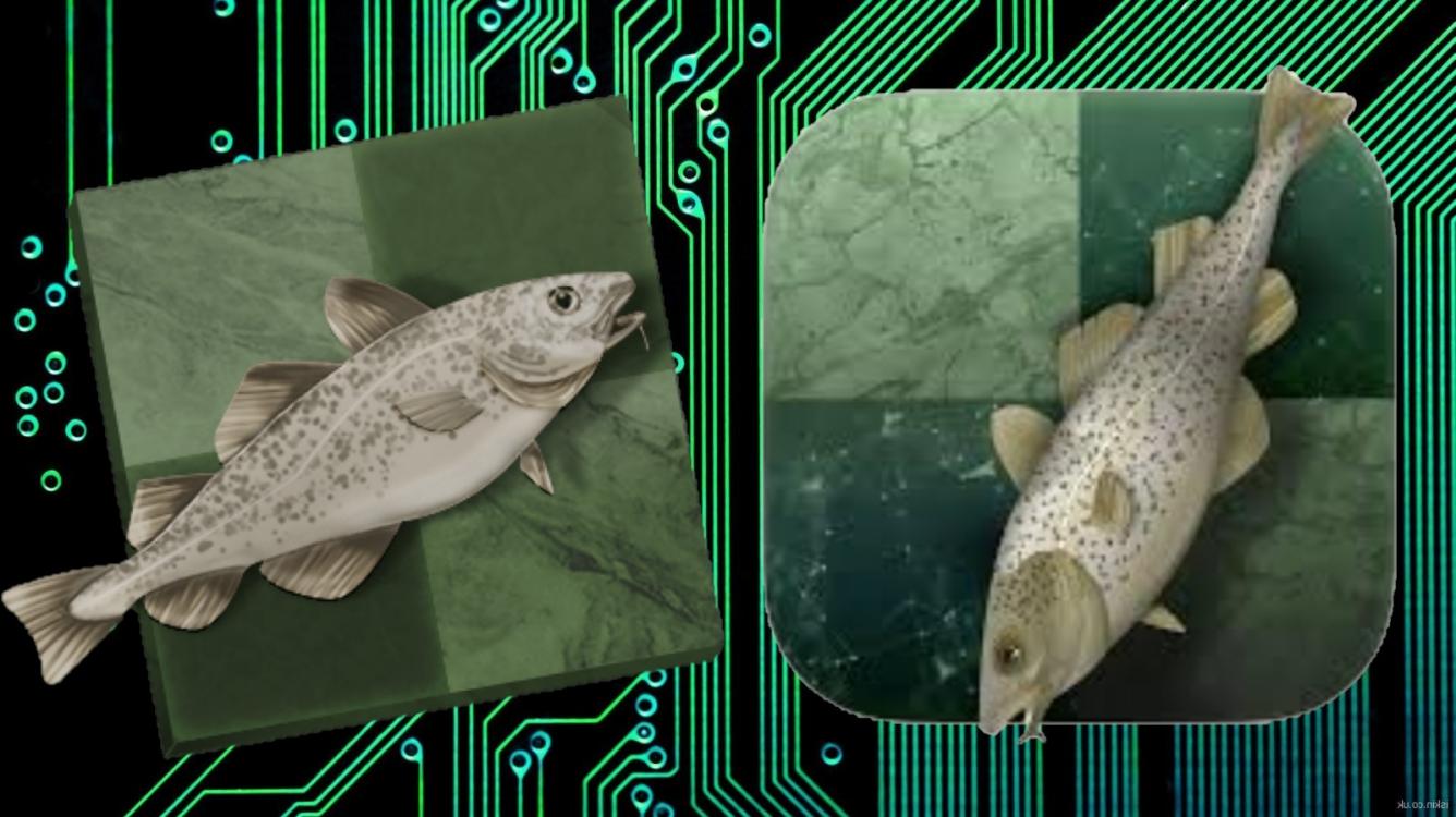 Evolution of a Chess Fish: What is NNUE, anyway?