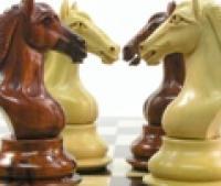 Chess Company For Sale
