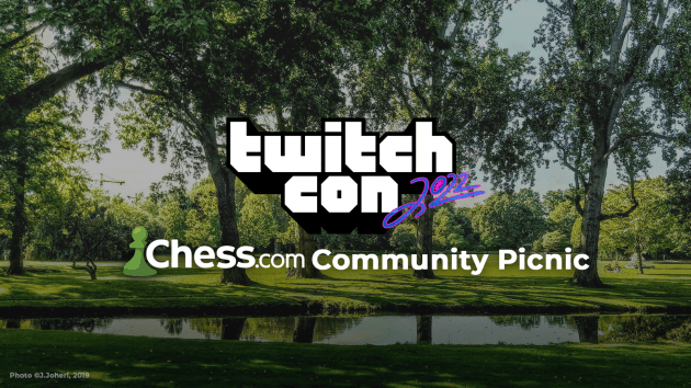 Chess.com Community Picnic: 15 July In Amsterdam