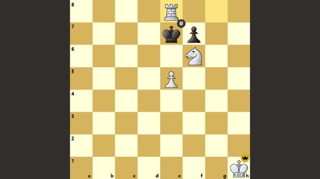 The Hook Checkmate