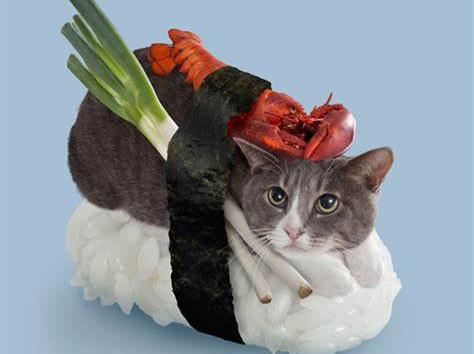 Er katter laget av sushi?