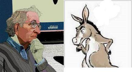 Noam Chomsky & Wise Donkey