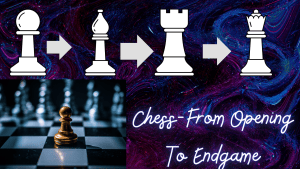 Chess-From Opening To Endgame