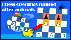 Chess openings named after animals
