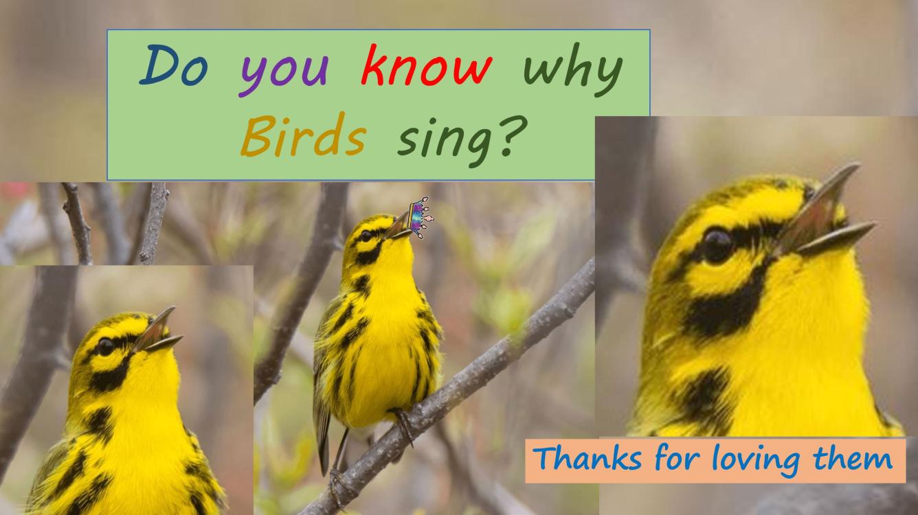Do you know why Birds sing?