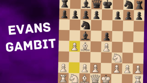 Learn the Evans Gambit quick!