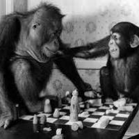 How chess can help you with your cursed monkey's paw