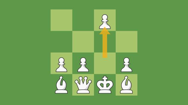 Understanding the Chess Openings