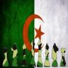 Team Algeria - الجزائر