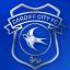 Cardiff City FC - Chess Club 