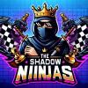 The Shadow Ninjas - TSN