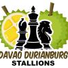 Davao Durianburg Stallions Open Team ACAPI