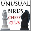Unusual Birds Chess Club