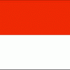 Team Indonesia
