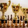 Evergreen Alliance Of Chess Warriors