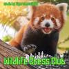 Wildlife Chess Club