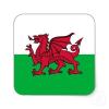 Team Wales-Cymru