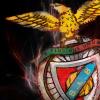 Benfica Fans Club