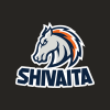 ShivaITA