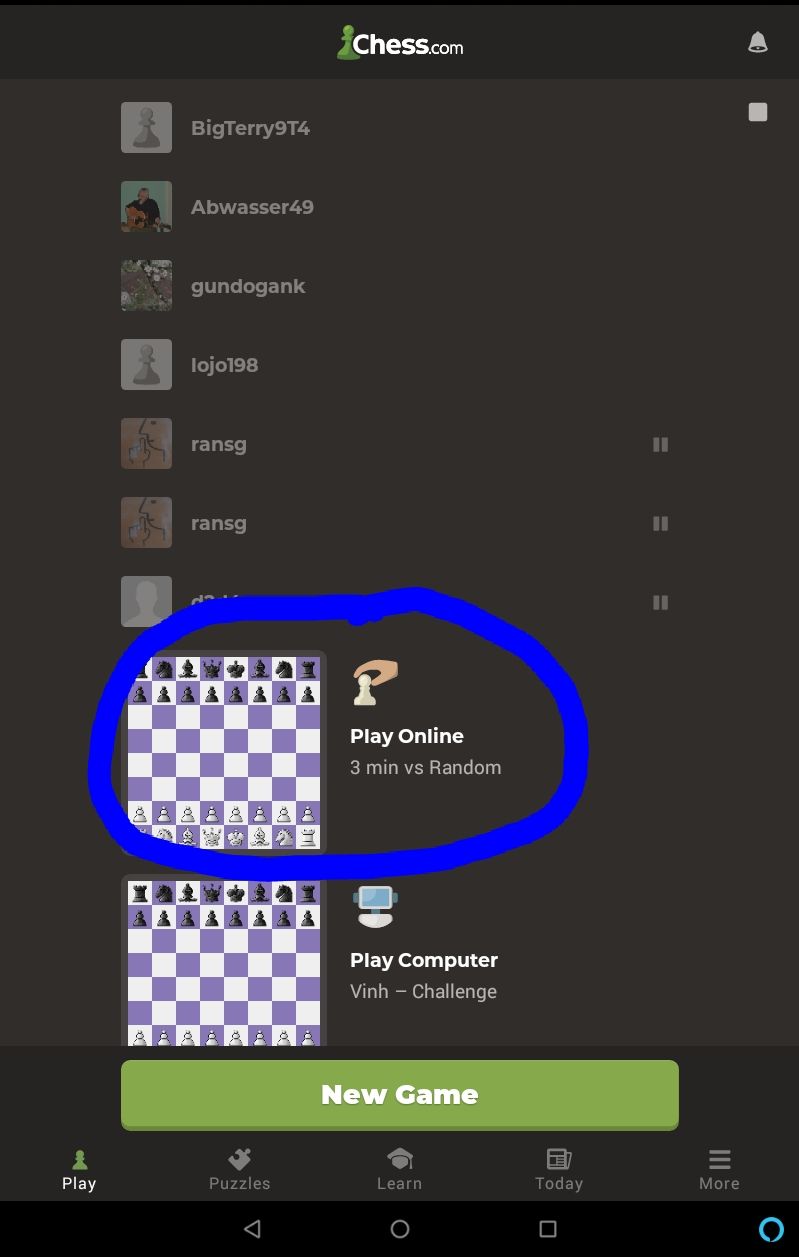 Request for all chess app makers. The next move button is the most used in  any chess app. Please make it bigger and keep it away from places where you  can touch