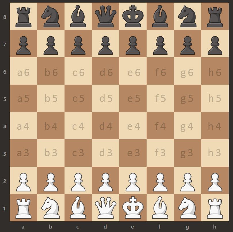 Can someone explain this notation? - Chess Forums 