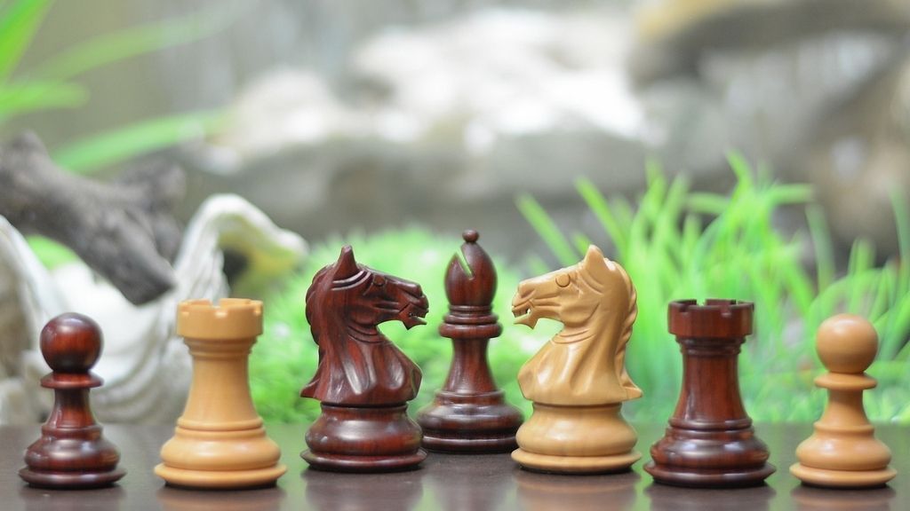 3.0" King Fierce Knight Staunton Series Chess Pieces in Bud Rose & Box Wood 