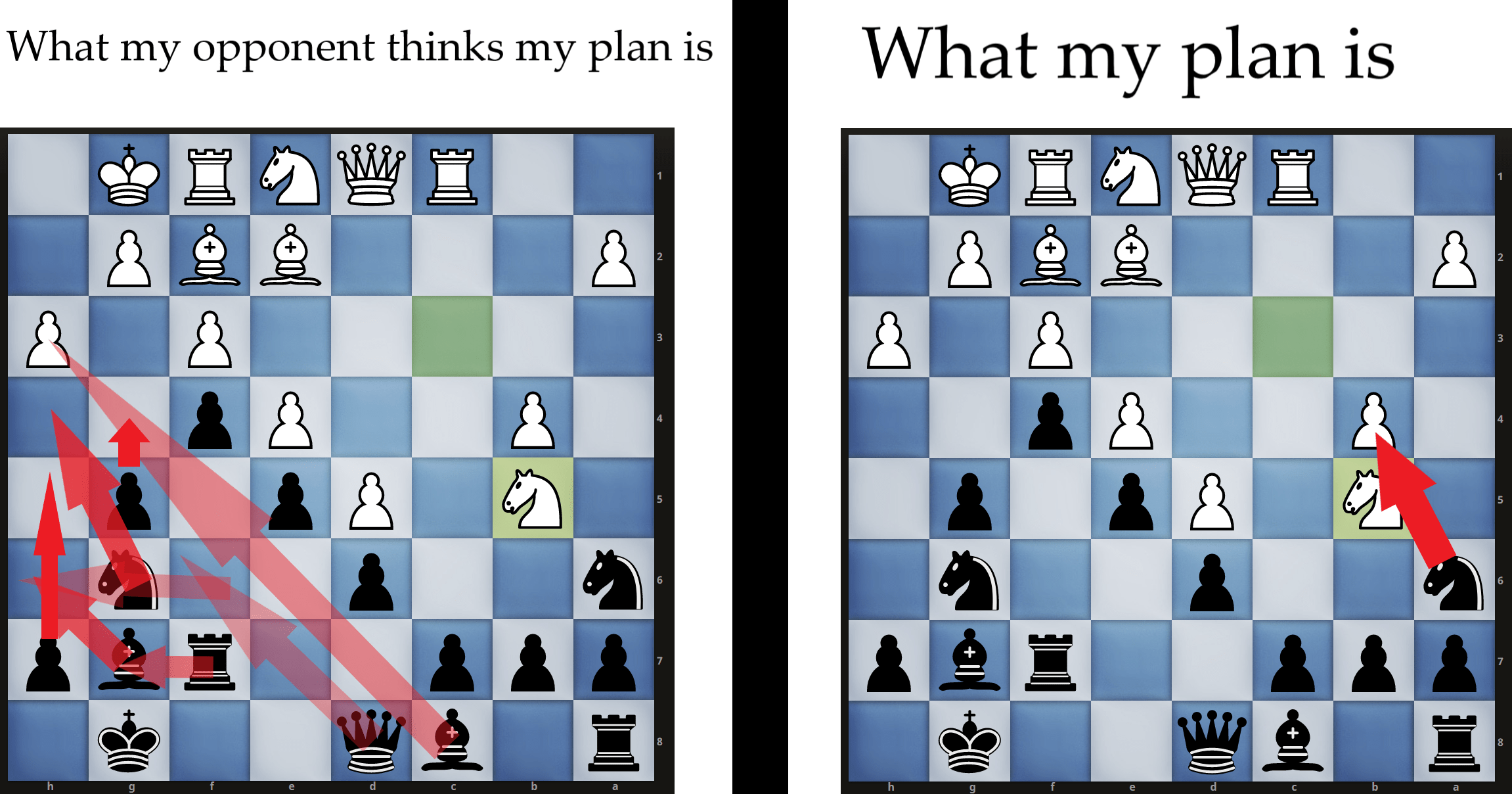 Chess memes - Chess Forums 