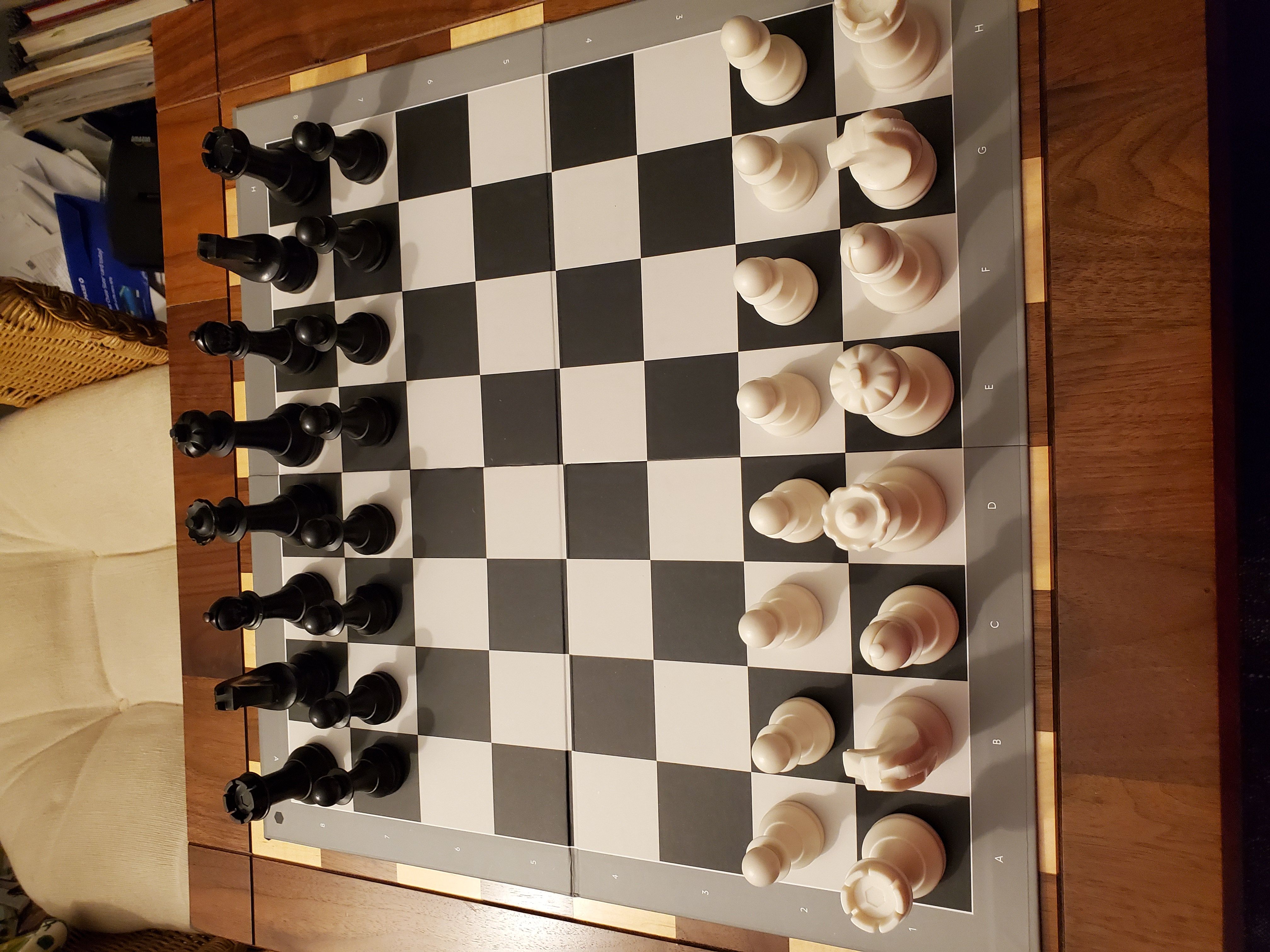 How to Play Chess, WorldChess Store