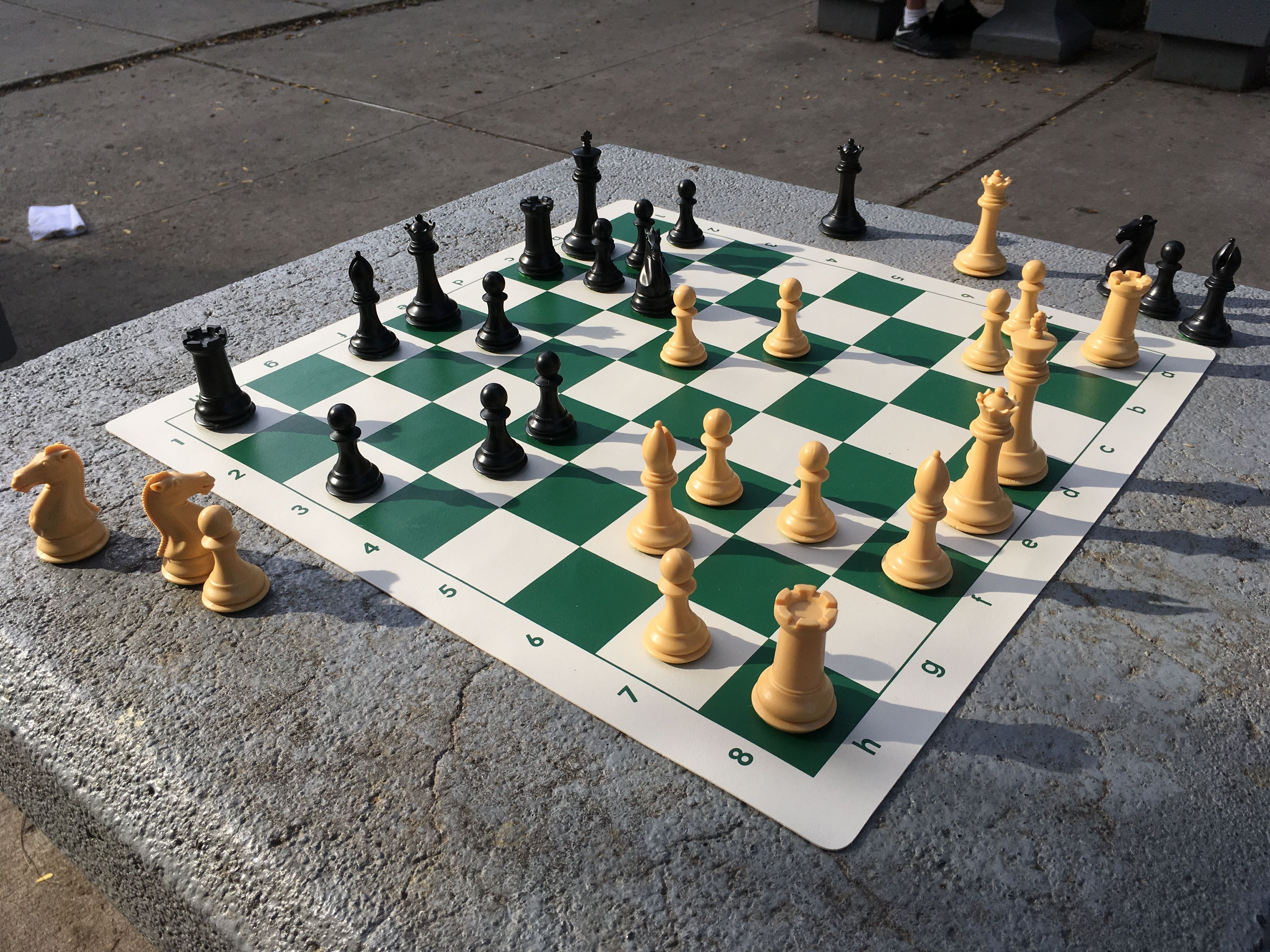 Combo of the Study Analysis Plastic Chess Pieces & Wooden Chess
