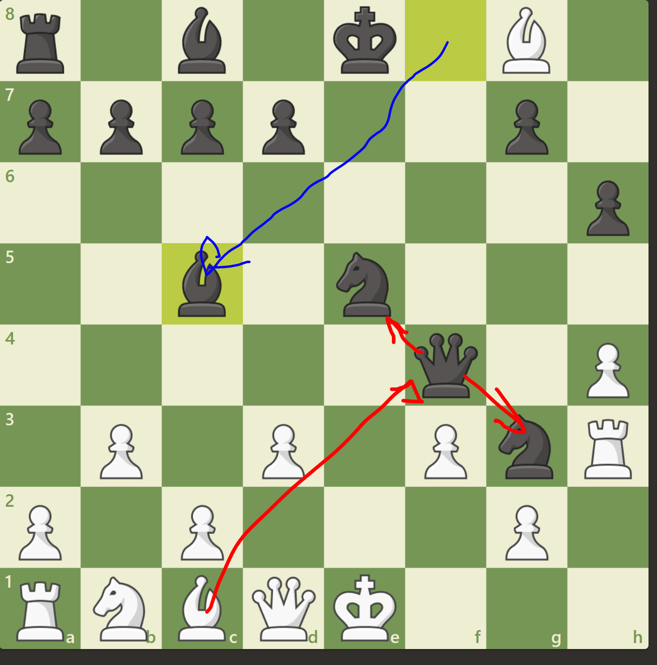 The Chess Blunder 