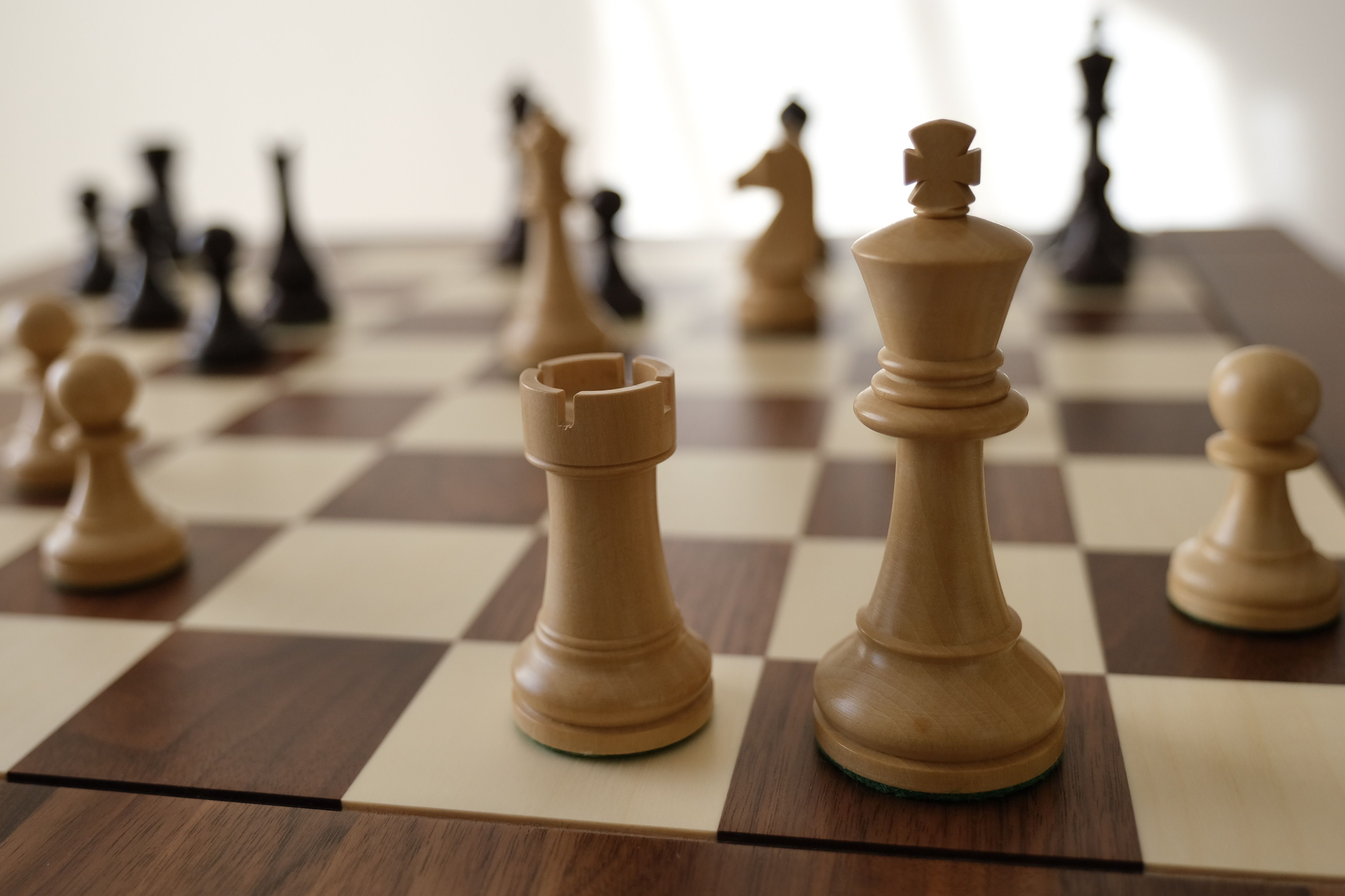 Finding a chess set with an elegant knight - Chess Forums 