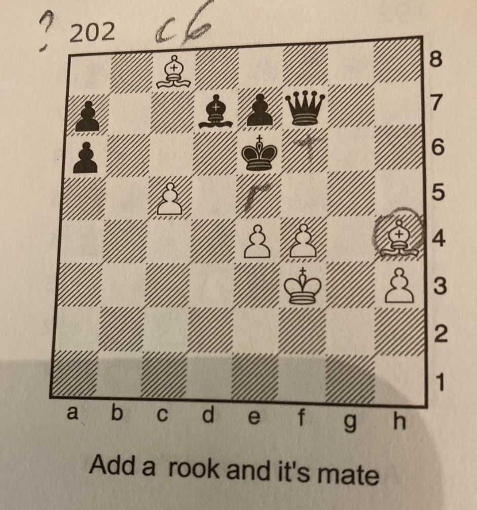 Beginner chess puzzle! - Chess Forums 