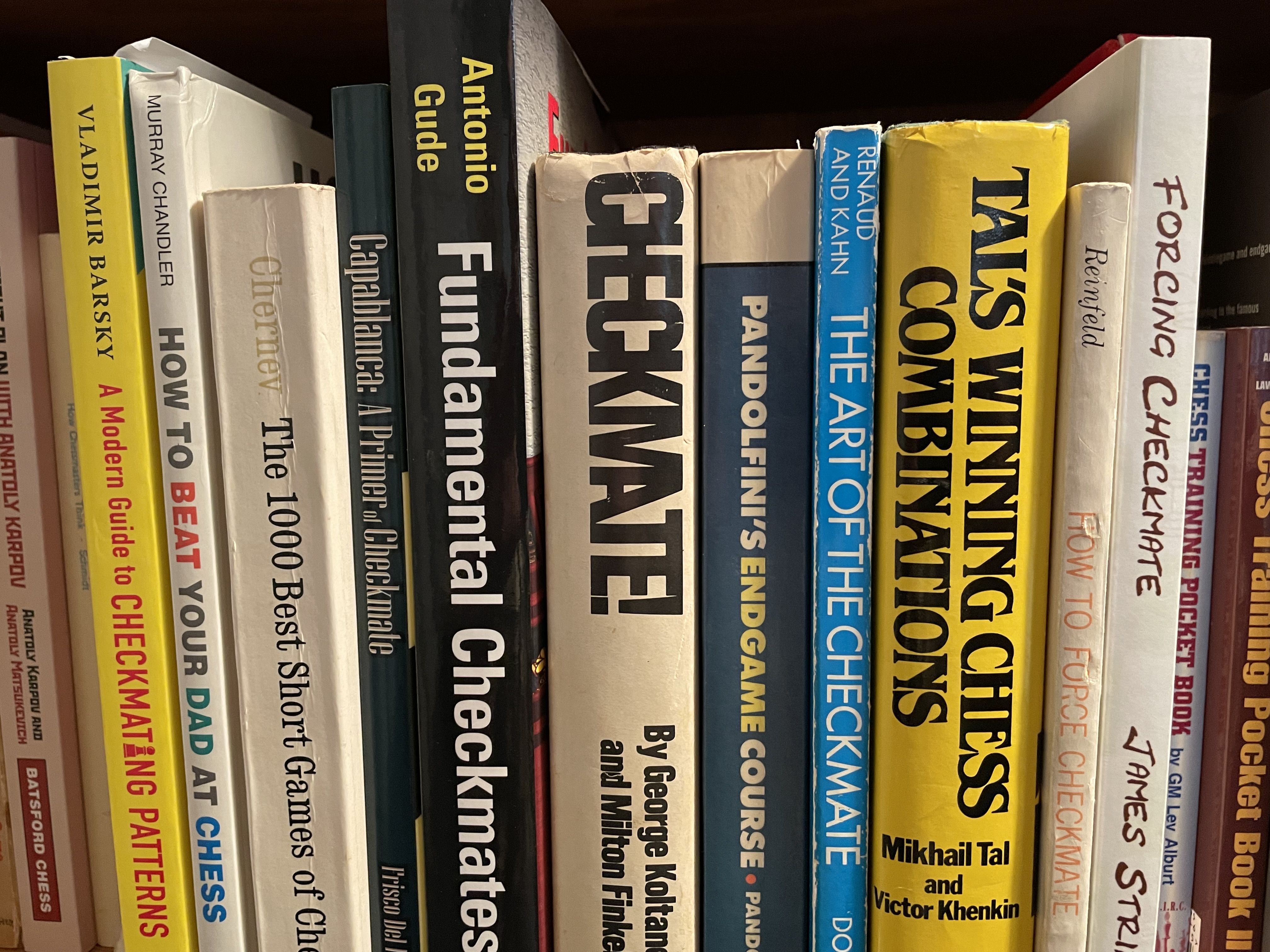 Most Under-rated Chess Books - Chess Forums 