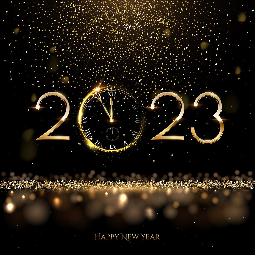 Wishing the Chess Community a Happy New Year! - Chess Forums ...