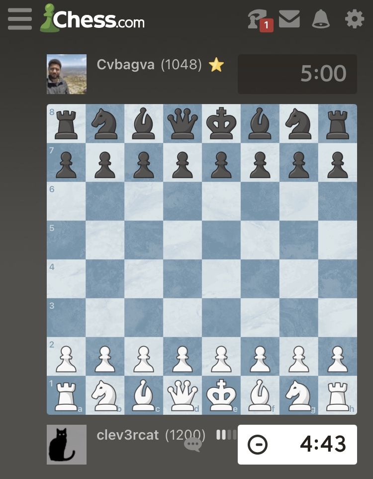 How many active players are there in each category? - Chess Forums - Chess .com